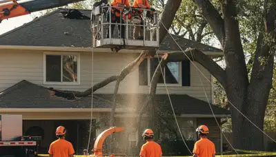 Emergency tree service crew removing storm-damaged tree in Louisville, KY