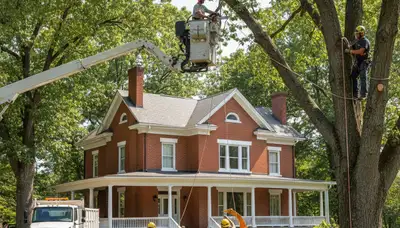 Louisville, KY tree service crew provides professional tree removal and trimming for local properties