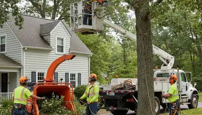 Louisville, KY tree service crew providing professional tree removal and trimming services