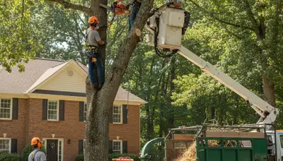 Louisville, KY tree service crew providing professional tree trimming and removal services