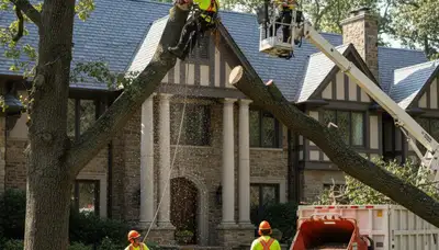 Louisville, KY tree service team providing professional tree trimming and removal services