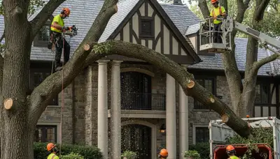 Louisville, KY tree service crew providing professional tree trimming and removal services